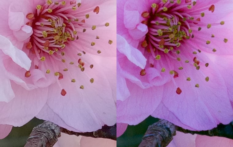 Left - image processed by camera engine, right - RAW image, both unscaled