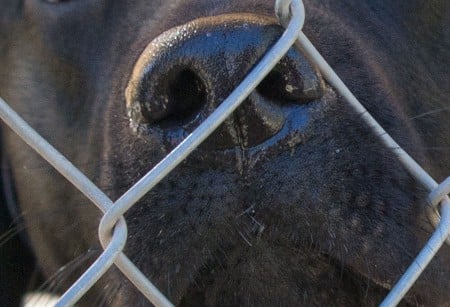samsung-nx300-sample-daylight-05-100pc-crop
